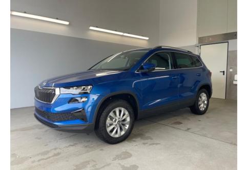 Skoda Karoq #1