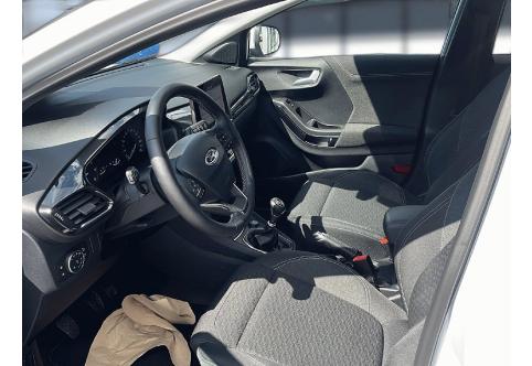 Ford Puma #9