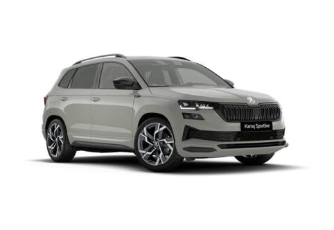 Skoda Karoq #1