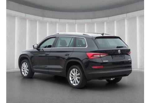 Skoda Kodiaq #20