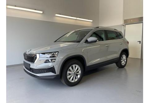 Skoda Karoq #1