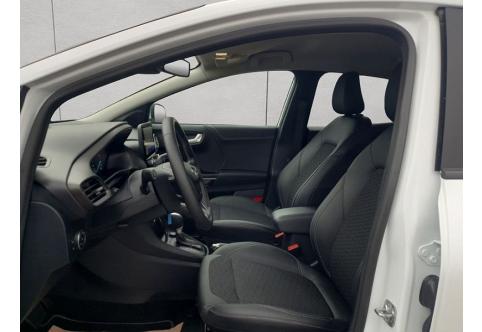 Ford Puma #10