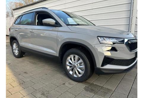 Skoda Karoq #2