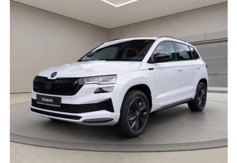 Skoda Karoq #1