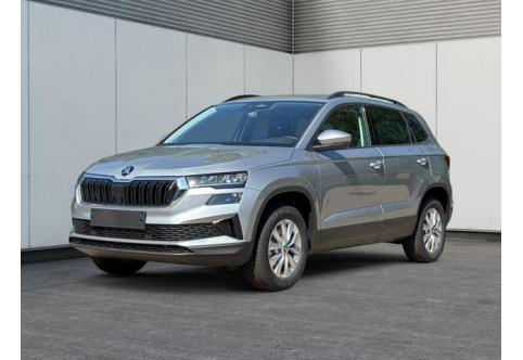 Skoda Karoq #1