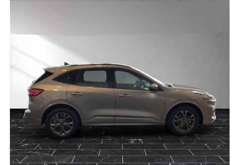 Ford Kuga #19