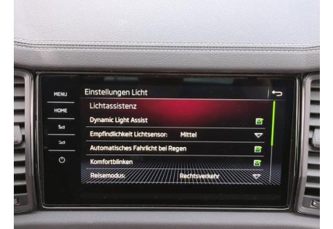 Skoda Kodiaq #17