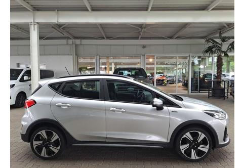 Ford Fiesta #21