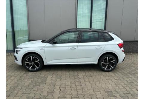 Skoda Kamiq #1