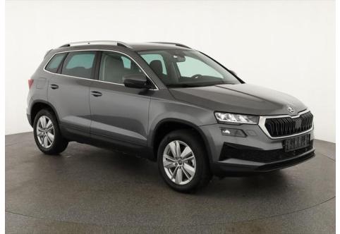 Skoda Karoq #1