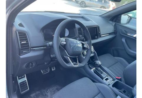 Skoda Karoq #1
