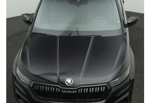 Skoda Kodiaq #20