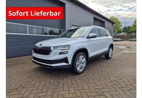 Skoda Karoq #1
