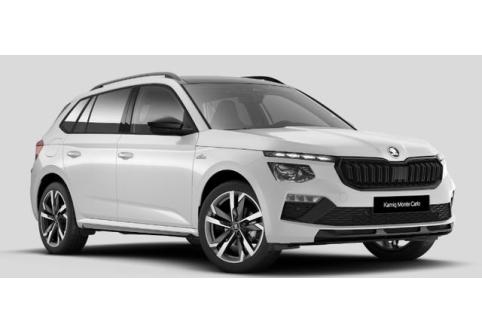 Skoda Kamiq #1