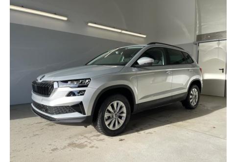 Skoda Karoq #1