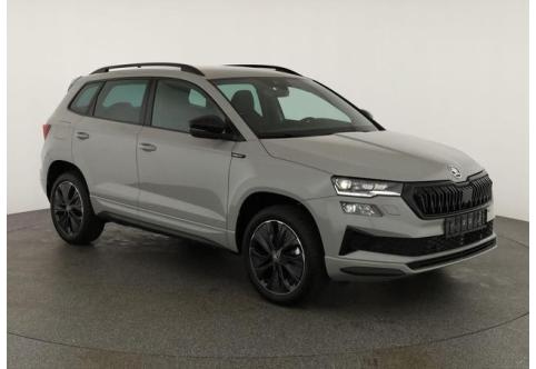 Skoda Karoq #1