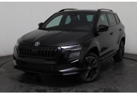Skoda Karoq #1