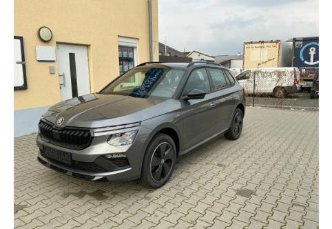 Skoda Kamiq #1