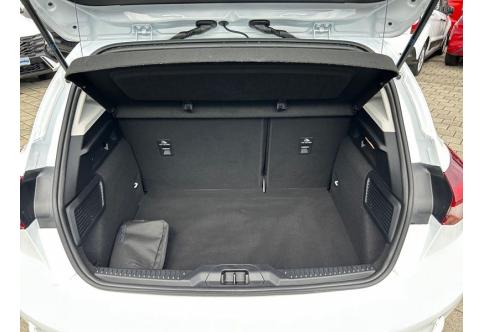 Ford Focus #8