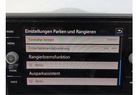 VW Passat #13