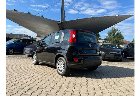 Fiat Panda #2