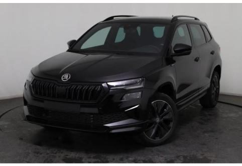Skoda Karoq #1