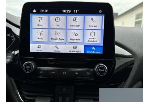 Ford Fiesta #17