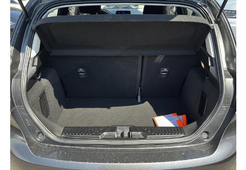 Ford Fiesta #21