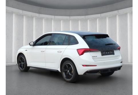 Skoda Scala #19