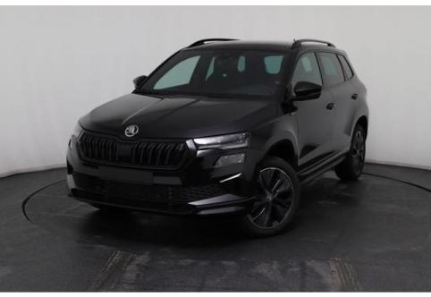 Skoda Karoq #1