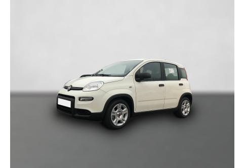 Fiat Panda #1