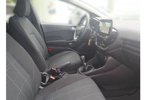 Ford Fiesta #17