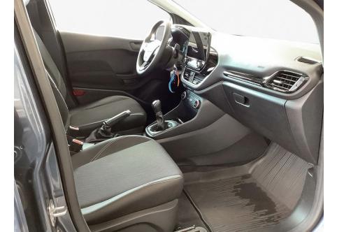 Ford Fiesta #10