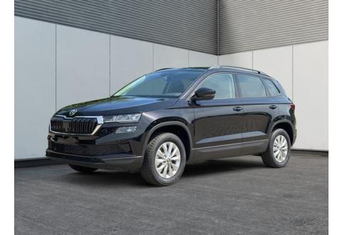 Skoda Karoq #1