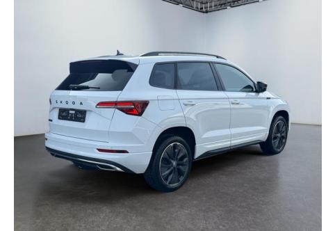 Skoda Karoq #1