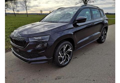 Skoda Karoq #1