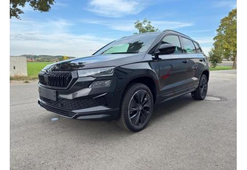 Skoda Karoq #2