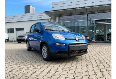 Fiat Panda #5