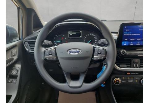 Ford Fiesta #11