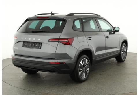 Skoda Karoq #1