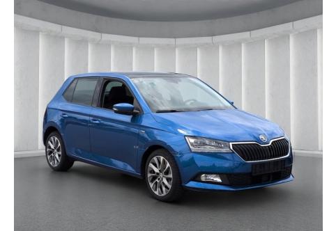Skoda Fabia #18