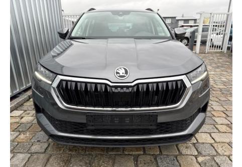 Skoda Karoq #1