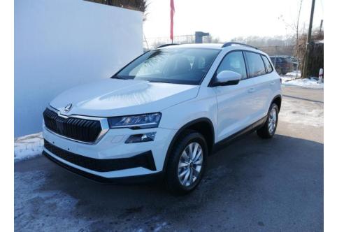 Skoda Karoq #1