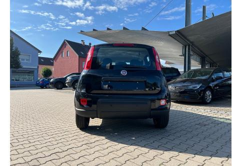 Fiat Panda #3
