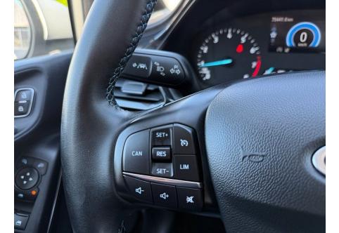 Ford Fiesta #20